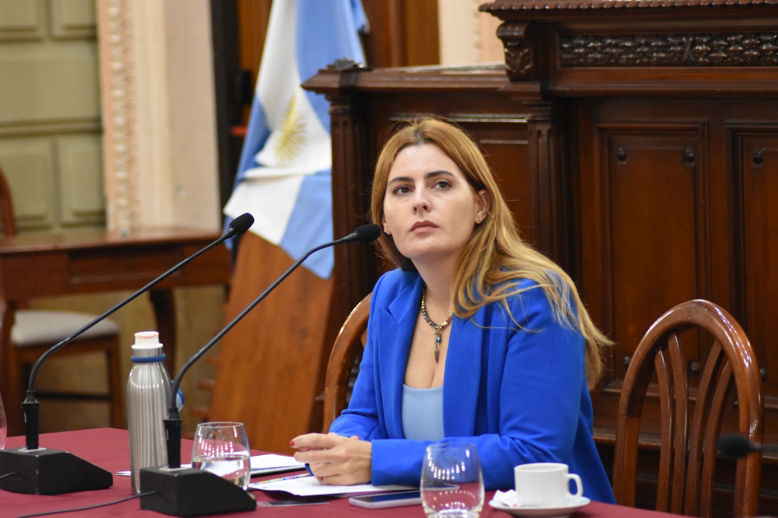 Cattalini: “El Consejo de la Magistratura debe acelerar la investigación sobre Bailaque"